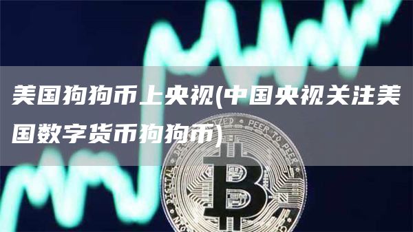 美国狗狗币上央视 - 中国央视关注美国数字货币狗狗币